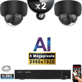 Kit Vidéo Surveillance PRO IP : 2x Caméras POE Dômes AI IR 25M Capteur SONY 5 MP + Enregistreur NVR 9 canaux H265+ 1000 Go