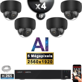 Kit Vidéo Surveillance PRO IP : 4x Caméras POE Dômes AI IR 25M Capteur SONY 5 MP + Enregistreur NVR 9 canaux H265+ 2000 Go