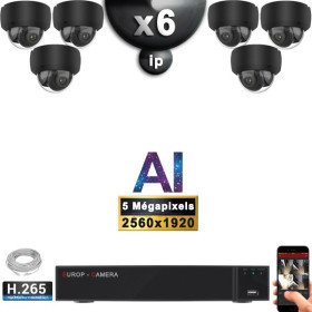 Kit Vidéo Surveillance PRO IP : 6x Caméras POE Dômes AI IR 25M Capteur SONY 5 MP + Enregistreur NVR 9 canaux H265+ 2000 Go