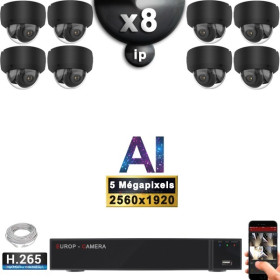 Kit Vidéo Surveillance PRO IP : 8x Caméras POE Dômes AI IR 25M Capteur SONY 5 MP + Enregistreur NVR 16 canaux H265+ 3000 Go