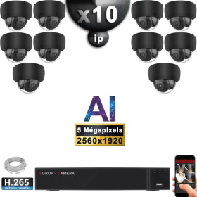 Kit Vidéo Surveillance PRO IP : 10x Caméras POE Dômes AI IR 25M Capteur SONY 5 MP + Enregistreur NVR 16 canaux H265+ 3000 Go