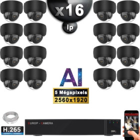 Kit Vidéo Surveillance PRO IP : 16x Caméras POE Dômes AI IR 25M Capteur SONY 5 MP + Enregistreur NVR 25 canaux H265+ 3000 Go