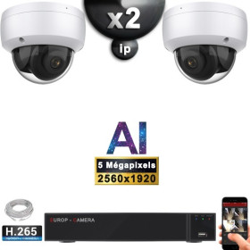 Kit Vidéo Surveillance PRO IP : 2x Caméras POE Dômes AI IR 25M Capteur SONY 5 MP + Enregistreur NVR 9 canaux H265+ 1000 Go