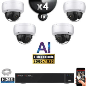 Kit Vidéo Surveillance PRO IP : 4x Caméras POE Dômes AI IR 25M Capteur SONY 5 MP + Enregistreur NVR 9 canaux H265+ 2000 Go