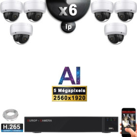 Kit Vidéo Surveillance PRO IP : 6x Caméras POE Dômes AI IR 25M Capteur SONY 5 MP + Enregistreur NVR 9 canaux H265+ 2000 Go