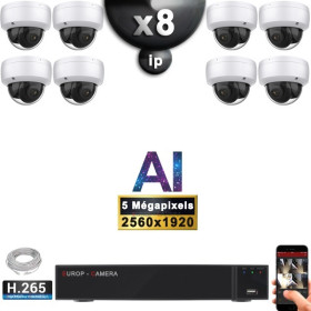 Kit Vidéo Surveillance PRO IP : 8x Caméras POE Dômes AI IR 25M Capteur SONY 5 MP + Enregistreur NVR 16 canaux H265+ 3000 Go