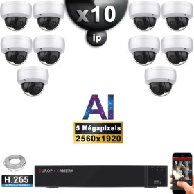 Kit Vidéo Surveillance PRO IP : 10x Caméras POE Dômes AI IR 25M Capteur SONY 5 MP + Enregistreur NVR 16 canaux H265+ 3000 Go