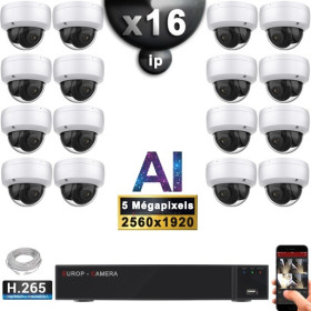 Kit Vidéo Surveillance PRO IP : 16x Caméras POE Dômes AI IR 25M Capteur SONY 5 MP + Enregistreur NVR 25 canaux H265+ 3000 Go