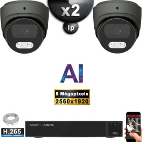 Kit Vidéo Surveillance PRO IP : 2x Caméras POE Dômes AI IR 25M Capteur SONY 5 MP + Enregistreur NVR 9 canaux H265+ 1000 Go