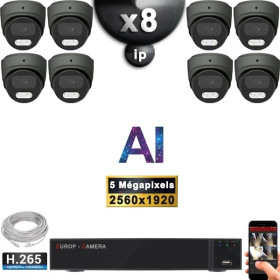 Kit Vidéo Surveillance PRO IP : 8x Caméras POE Dômes AI IR 25M Capteur SONY 5 MP + Enregistreur NVR 16 canaux H265+ 3000 Go