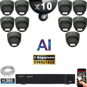 Kit Vidéo Surveillance PRO IP : 10x Caméras POE Dômes AI IR 25M Capteur SONY 5 MP + Enregistreur NVR 16 canaux H265+ 3000 Go