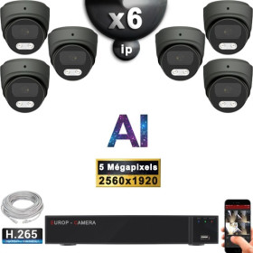 Kit Vidéo Surveillance PRO IP : 6x Caméras POE Dômes AI IR 25M Capteur SONY 5 MP + Enregistreur NVR 9 canaux H265+ 2000 Go