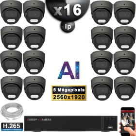 Kit Vidéo Surveillance PRO IP : 16x Caméras POE Dômes AI IR 25M Capteur SONY 5 MP + Enregistreur NVR 25 canaux H265+ 3000 Go