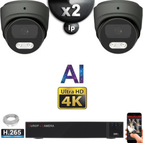 Kit Vidéo Surveillance PRO IP 2x Caméras POE Dômes AI IR 25M Capteur SONY UHD 4K + Enregistreur NVR 8 canaux H265+ 1000 Go