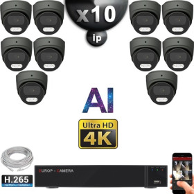 Kit Vidéo Surveillance PRO IP 10x Caméras POE Dômes AI IR 25M Capteur SONY UHD 4K + Enregistreur NVR 30 canaux H265+ 3000 Go