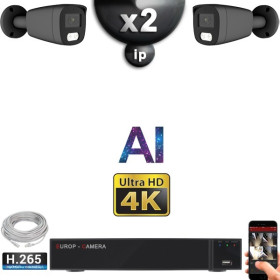 Kit Vidéo Surveillance PRO IP 2x Caméras POE Tubes AI IR 25M Capteur SONY UHD 4K + Enregistreur NVR 8 canaux H265+ 1000 Go