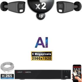 Kit Vidéo Surveillance PRO IP : 2x Caméras POE Tubes AI IR 25M Capteur SONY 5 MP + Enregistreur NVR 9 canaux H265+ 1000 Go